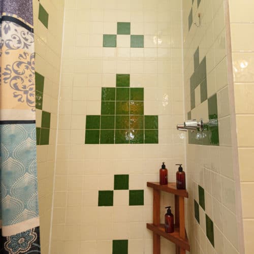 Barracuda House - Bathroom Shower