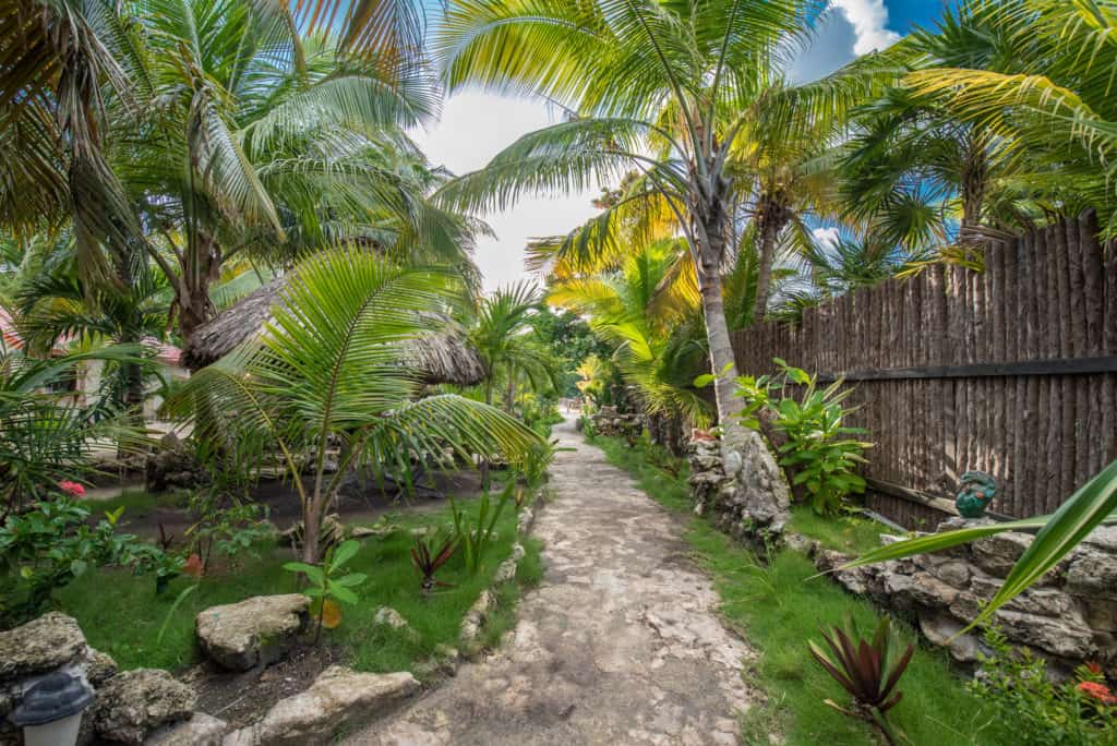 Pathway to the Restaurant